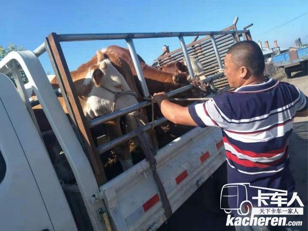 福田祥菱M2在運輸途中