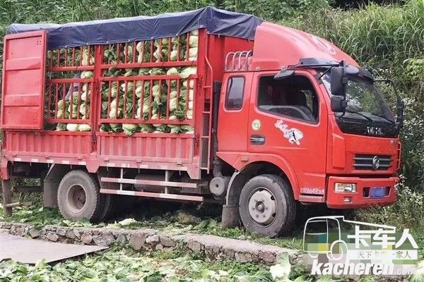東風輕型車張偉的車在田間拉蔬菜