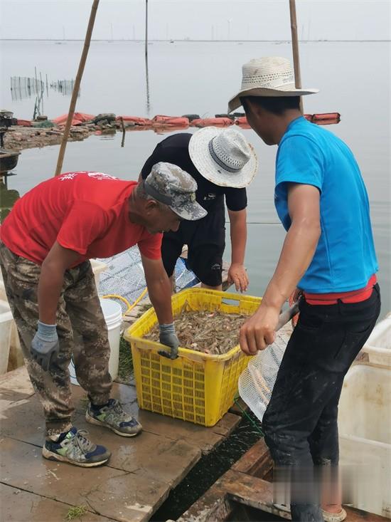 福田祥菱 載貨車