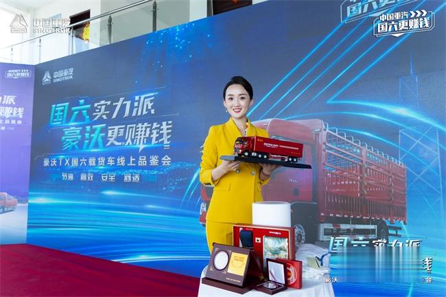 中國重汽豪沃 載貨車TX