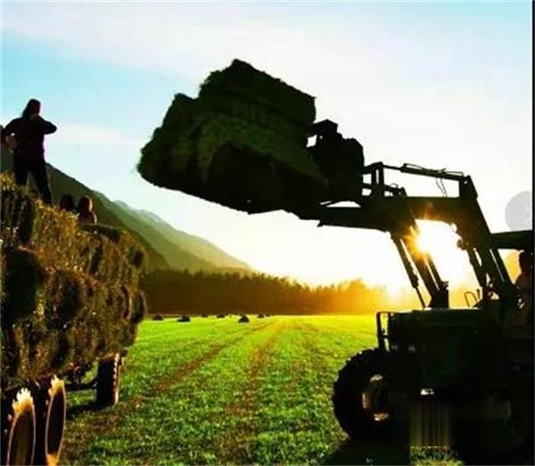 上柴   銷量勁增