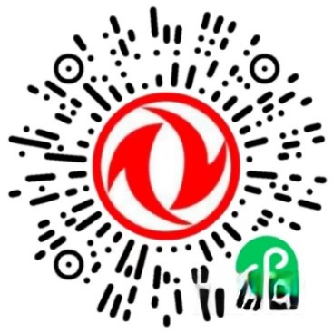 東風(fēng)凱普特,東風(fēng)多利卡,雙十一,輕卡