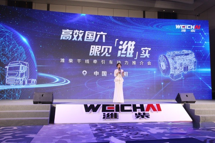 濰柴,WP13,發動機