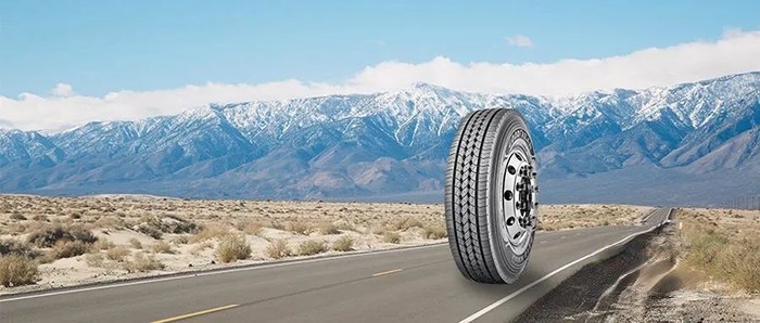 固特異 S210KMAX 輪胎