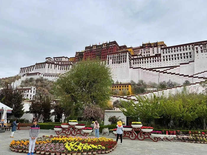 東風康明斯 老友匯 發動機