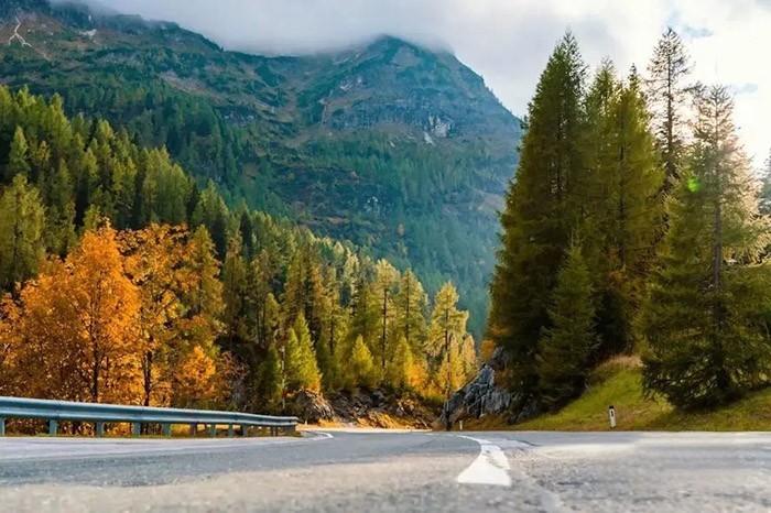 東風康明斯 Z15N 天然氣發動機