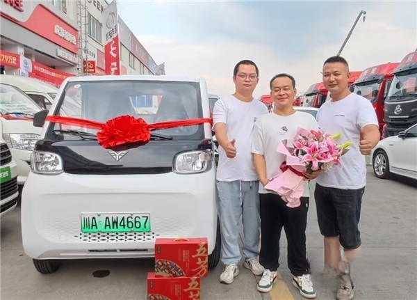 北汽雷馳新能源MINI卡:城市配送新寵,一車多用實力派